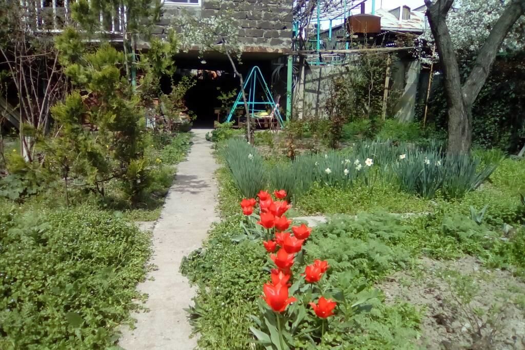 Дома для отпуска Cozy private house with garden in a big center of Yerevan Ереван-28