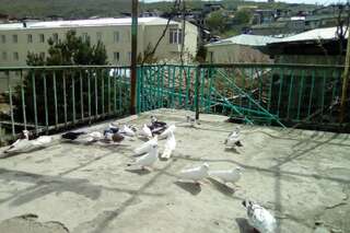 Дома для отпуска Cozy private house with garden in a big center of Yerevan Ереван-1