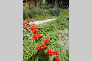 Дома для отпуска Cozy private house with garden in a big center of Yerevan Ереван-3