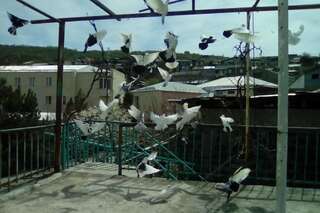 Дома для отпуска Cozy private house with garden in a big center of Yerevan Ереван-7